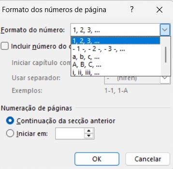 Figura 6 - Escolher tipo de numeração