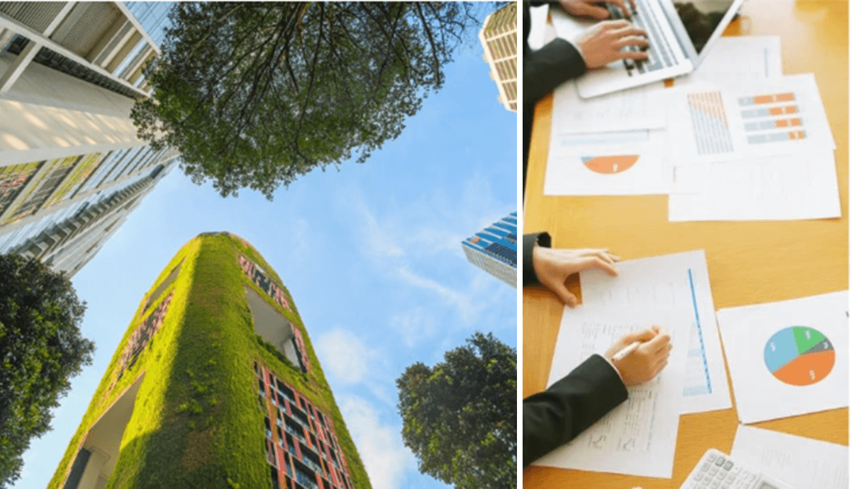 Relatórios ESG e riscos de Greenwashing