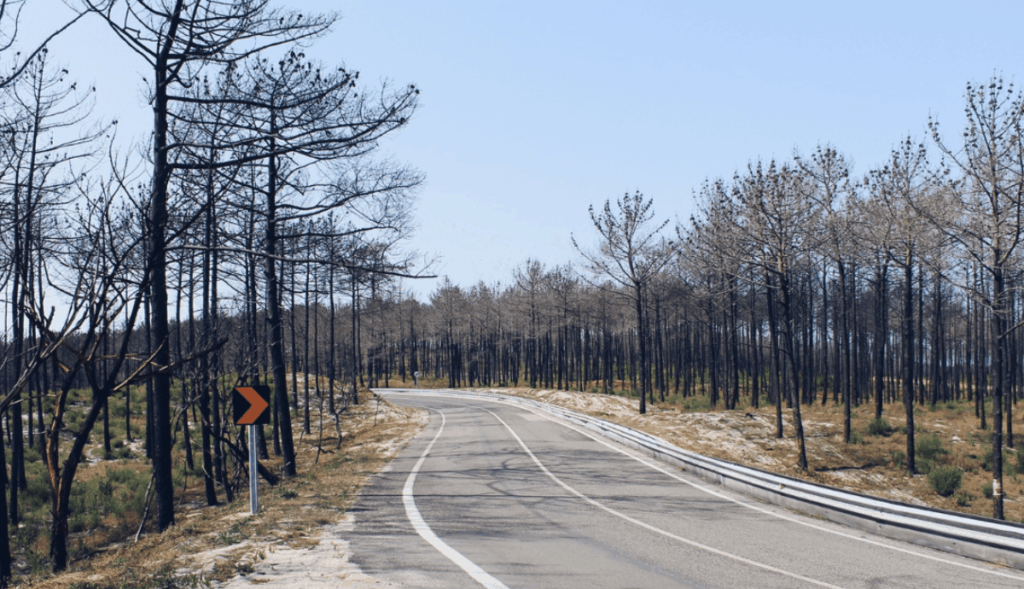 Fogo como ferramenta de gestão