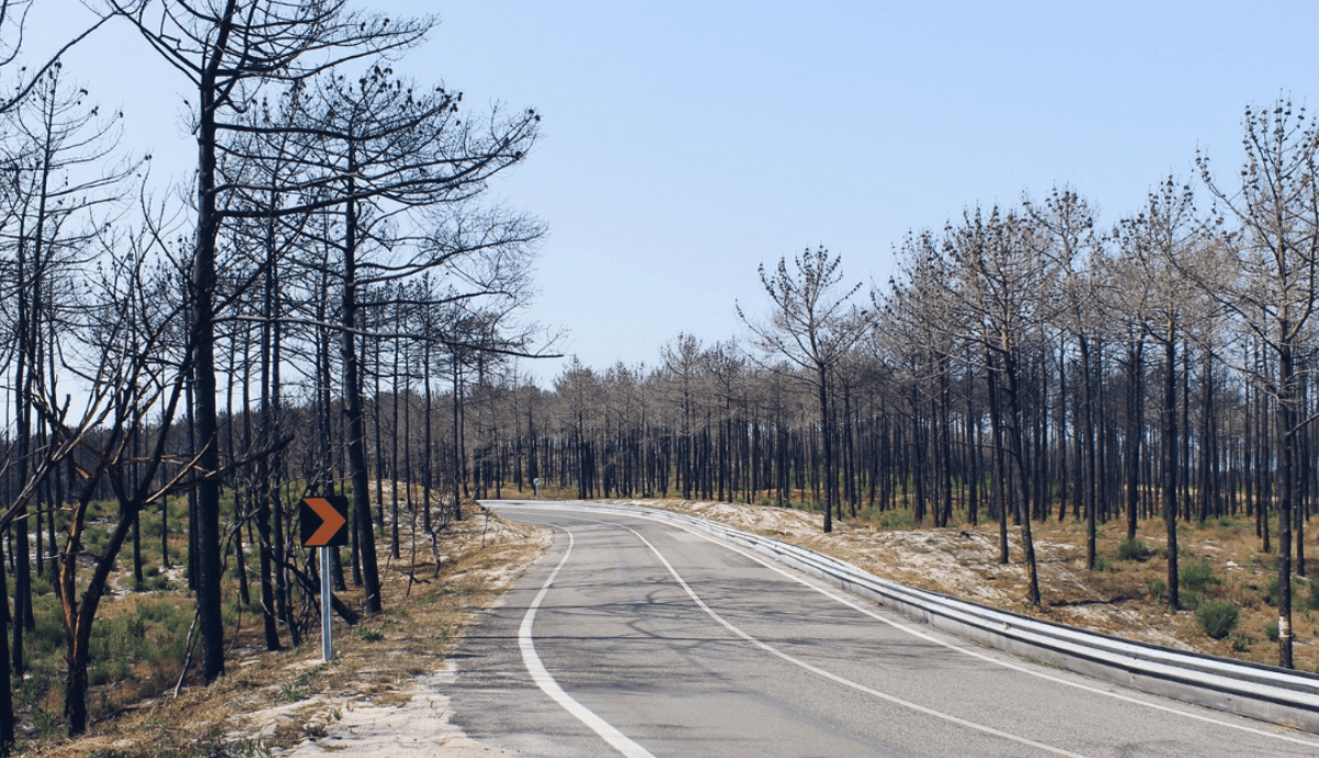 Fogo como ferramenta de gestão
